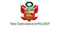 congreso_Peru